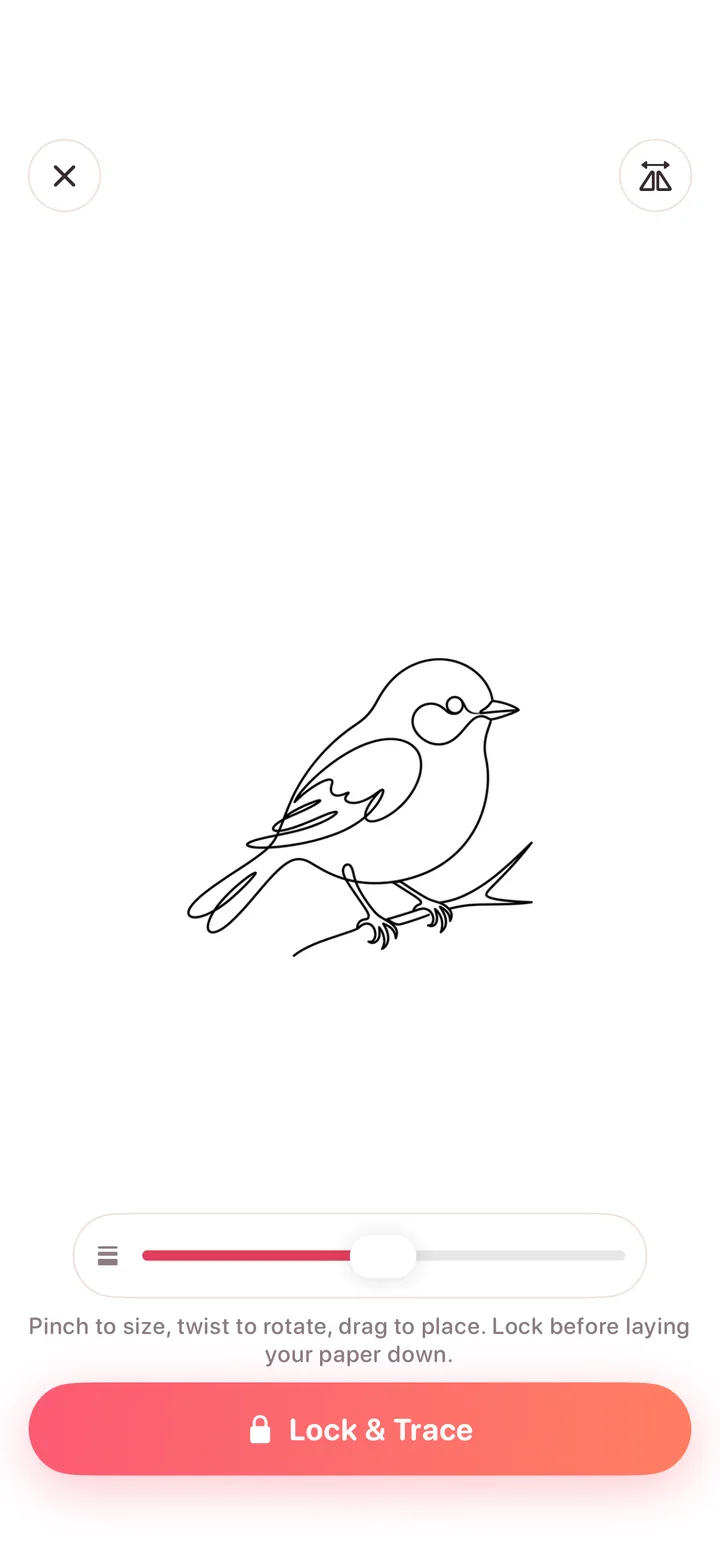 Foxy’s screen mode: a one-line bird guide on a bright white light box, a line-thickness slider, and the Lock & Trace button